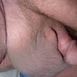 Close up high resolution view of my small dick.