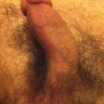 A pic of my cock and my hairy untrimmed bush!  Enjoy!