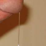 Oozing precum