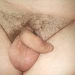 Uncut cock, limp and small, love being humiliated by being bottomless in front of others as they giggle at it
