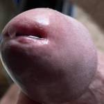 Got so horny, looking at fellow Zoig members photos, and videos my dickhead is completely engorged and leaking pre-cum