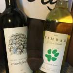 What would you choose?