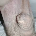 Lazy snowy day anyone get him up?