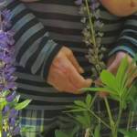 Flowers and i