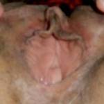 My clit, pink and brown are waiting for a womans tongue…