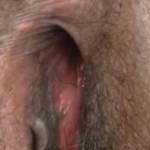 Mrs Prime1 yummy pussy and ass.