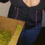 Bit of braless gardening