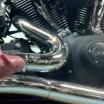 For the cumshot lovers