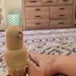 Watching porn and getting off on zoig!