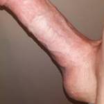 For your pleasure !! His big pretty cock who want's to use him with me?