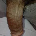 Morning wood