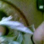zoig friends request