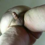 chubby belly chubby dick