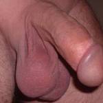 I love his big balls full of cum, what do you think about his cock and balls?