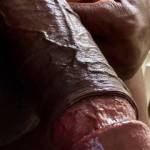 What skills would you use to get this big black cock fully erect?