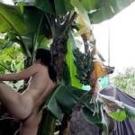 Banana girl in the garden, always worth a visit.