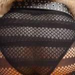 A little fishnet to play in