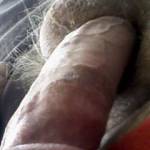 stole a pic of hubbys pretty cock once i got him hard
