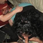 wife sucks while I play with her ass