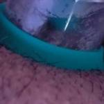 Had to try out me new toy