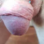 My cock loves a moist pussy any offered to
