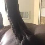 Tell me what to do with all this cock