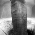 body shot)