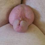 My cock needs a mouth or hand to make him cum. Can you help ?