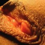 my wet, hot and juicy pussy...