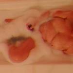 Bath time is a good time for a toy