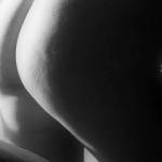 afternoon back light. interesting?