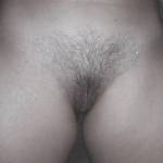 hairy pussy