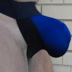 side view of my bulge
