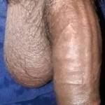 black cock, black dick, straight cock, big cock, big dick