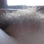 sunlight dancing through my soft fluffy bush