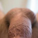 Cock pic in bed.