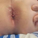 Love tunnel,  it's sohungry!