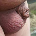 Taking my shaved cock and balls for a walk outside. Do you like being naked outside too?