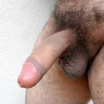 Sunny cock