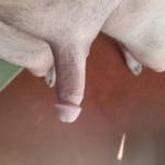 Who wants to shave my cock