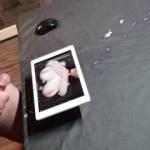 Tribute for cecesees