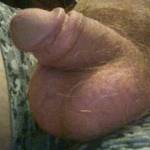 A close up pic of my hairy white cock