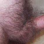 Before I trim my hairy cock! Any helpers!