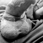 Homme Sexuelle - Noir et Blanc Classique: "Hubby's Woody"