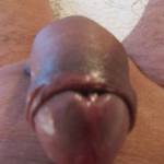 Watching all the friend on zoig kinda get me excited is there any one would want to lick or taste it?