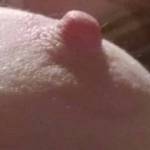 all perked up and ready for action