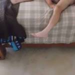 The AZ sun tore up my American flag (on a 20-foot pole) out front. My friend sent her husband (an army veteran) over to replace my flag. He had to play with the ropes and the pole. After he got the new flag up, he let me play with his pole. Any comments?