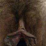 A butt plug in the vagina