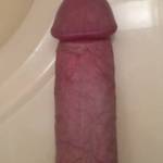 My hard cock after surfing some Zoig vids.