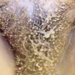 Getting ready to jump into bath   Got to get tidy xx